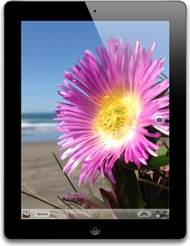 Apple  iPad 4 CDMA A1460 32GB  (Apple iPad 3,6)