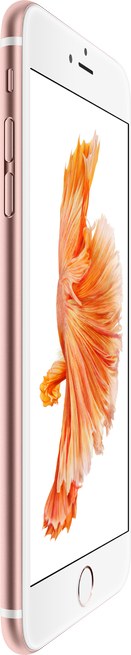 Apple iPhone 6s Plus A1690 TD-LTE CN 16GB  (Apple iPhone 8,1) image image
