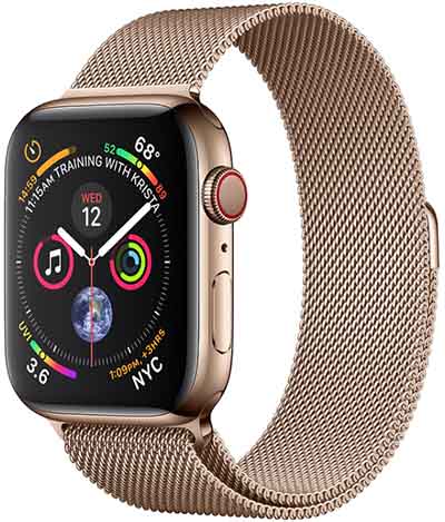 Apple Watch Series 4 40mm TD-LTE Global A2007  (Apple Watch 4,3) Detailed Tech Specs