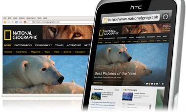 HTC WILDFIRE S INTERNET