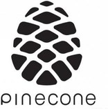Xiaomi Pinecone V970 image image