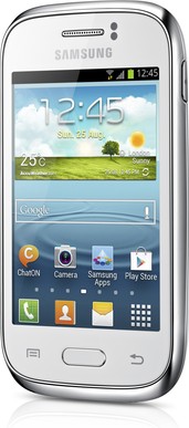 Samsung GT-S6310 Galaxy Young Detailed Tech Specs