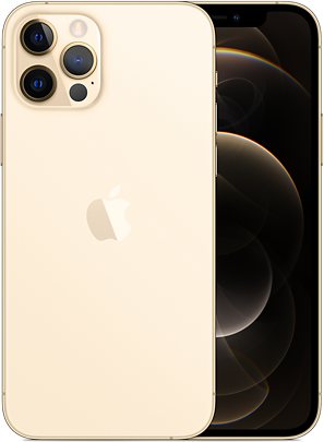 Apple iPhone 12 Pro 5G A2406 Dual SIM TD-LTE JP CA 256GB  (Apple iPhone 13,3)