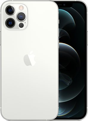 Apple iPhone 12 Pro 5G A2408 Dual SIM TD-LTE CN 256GB / A2409  (Apple iPhone 13,3)