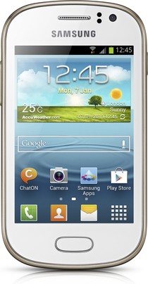 Samsung GT-S6810P Galaxy Fame